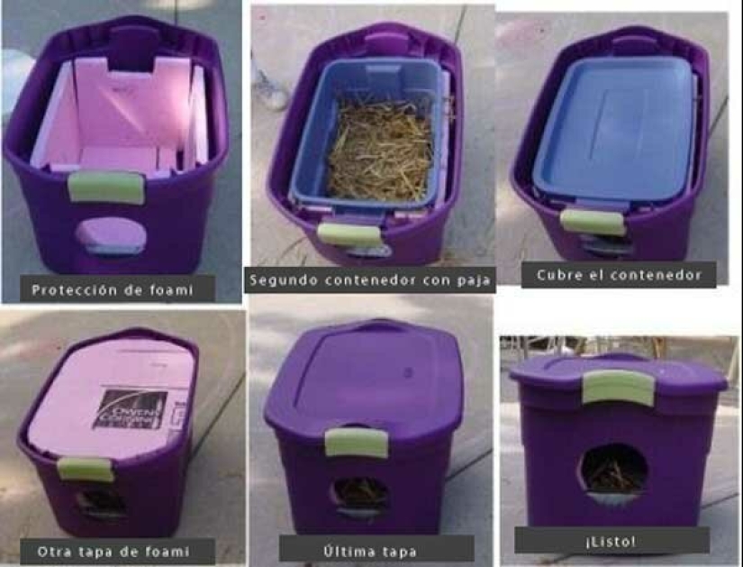 20 la vida hacks para los felices dueños de gatos