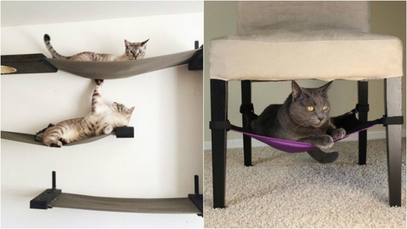 20 life hacks for happy cat owners 20 life hacks for happy cat owners