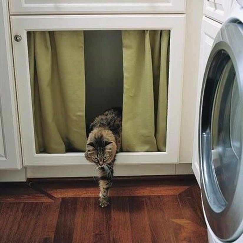 20 life hacks for happy cat owners 20 life hacks for happy cat owners
