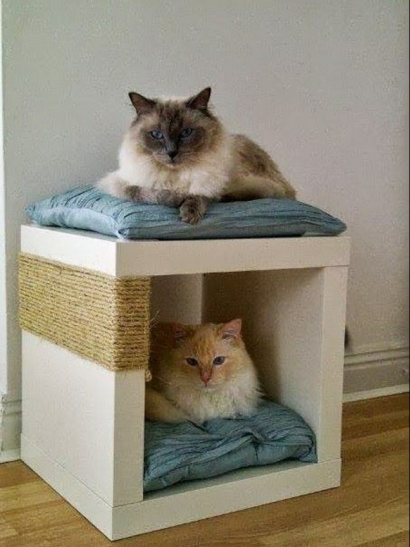20 life hacks for happy cat owners 20 life hacks for happy cat owners