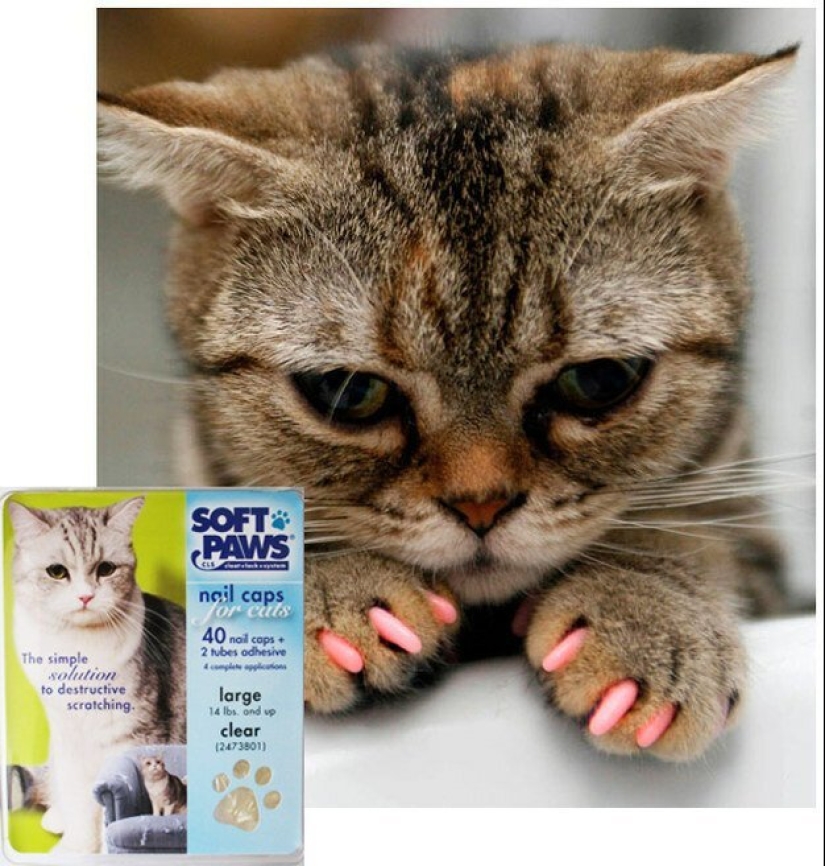 20 life hacks for happy cat owners 20 life hacks for happy cat owners
