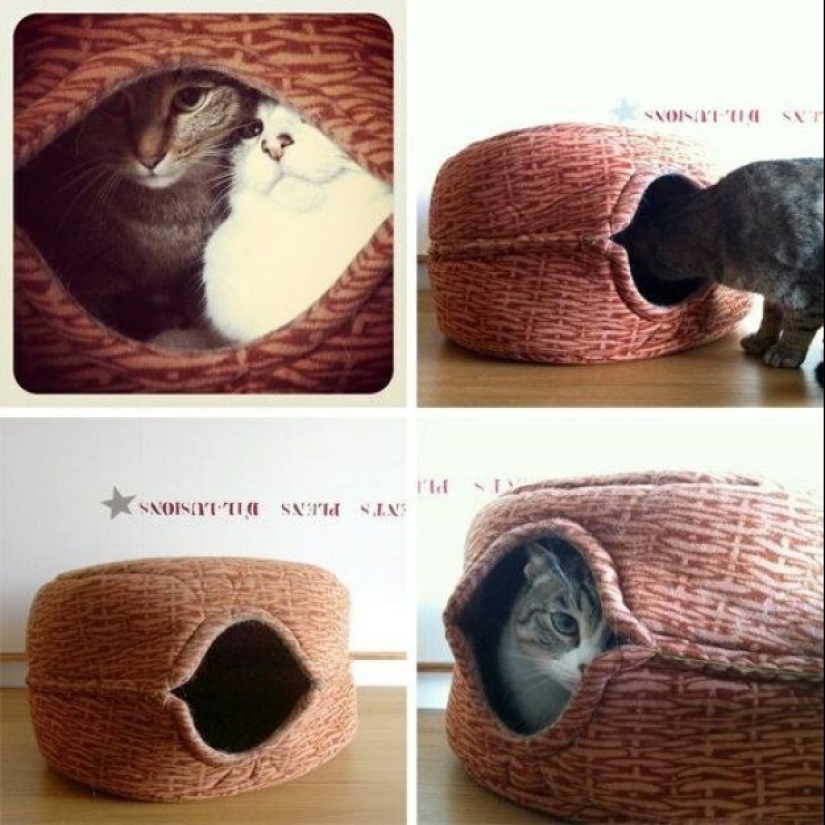20 life hacks for happy cat owners 20 life hacks for happy cat owners