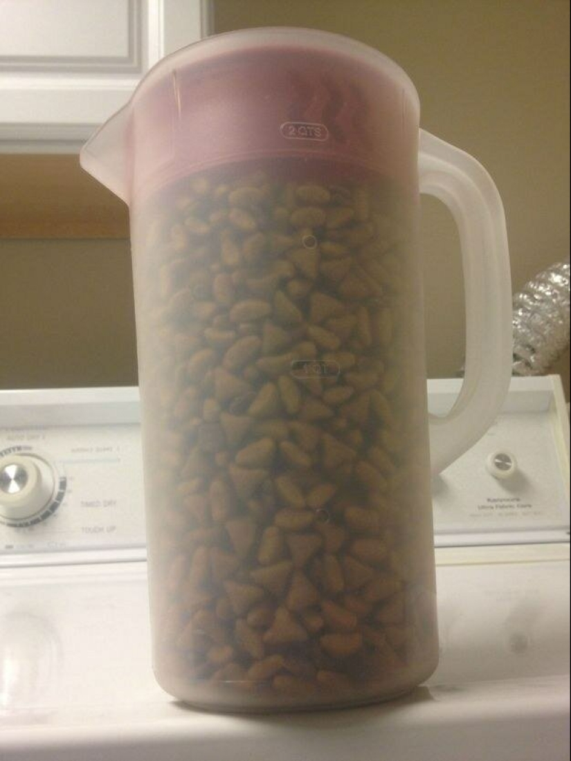 20 life hacks for happy cat owners 20 life hacks for happy cat owners