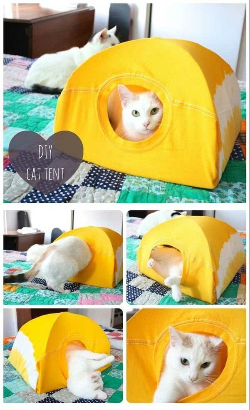 20 life hacks for happy cat owners 20 life hacks for happy cat owners