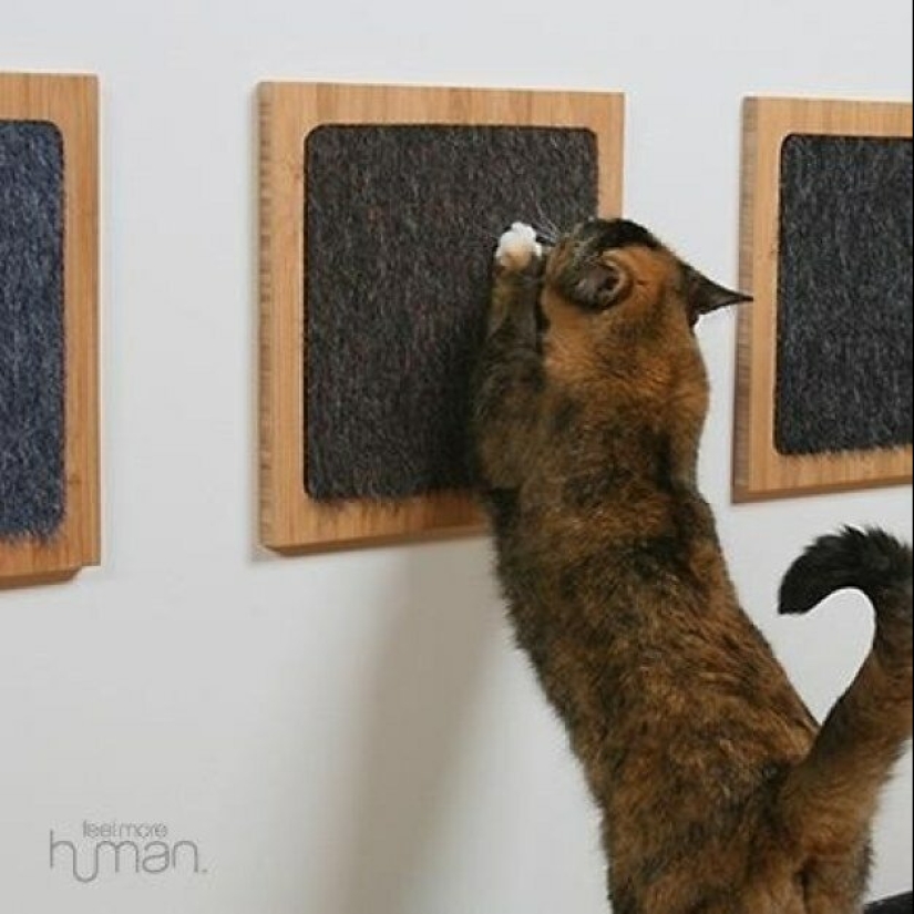 20 life hacks for happy cat owners 20 life hacks for happy cat owners