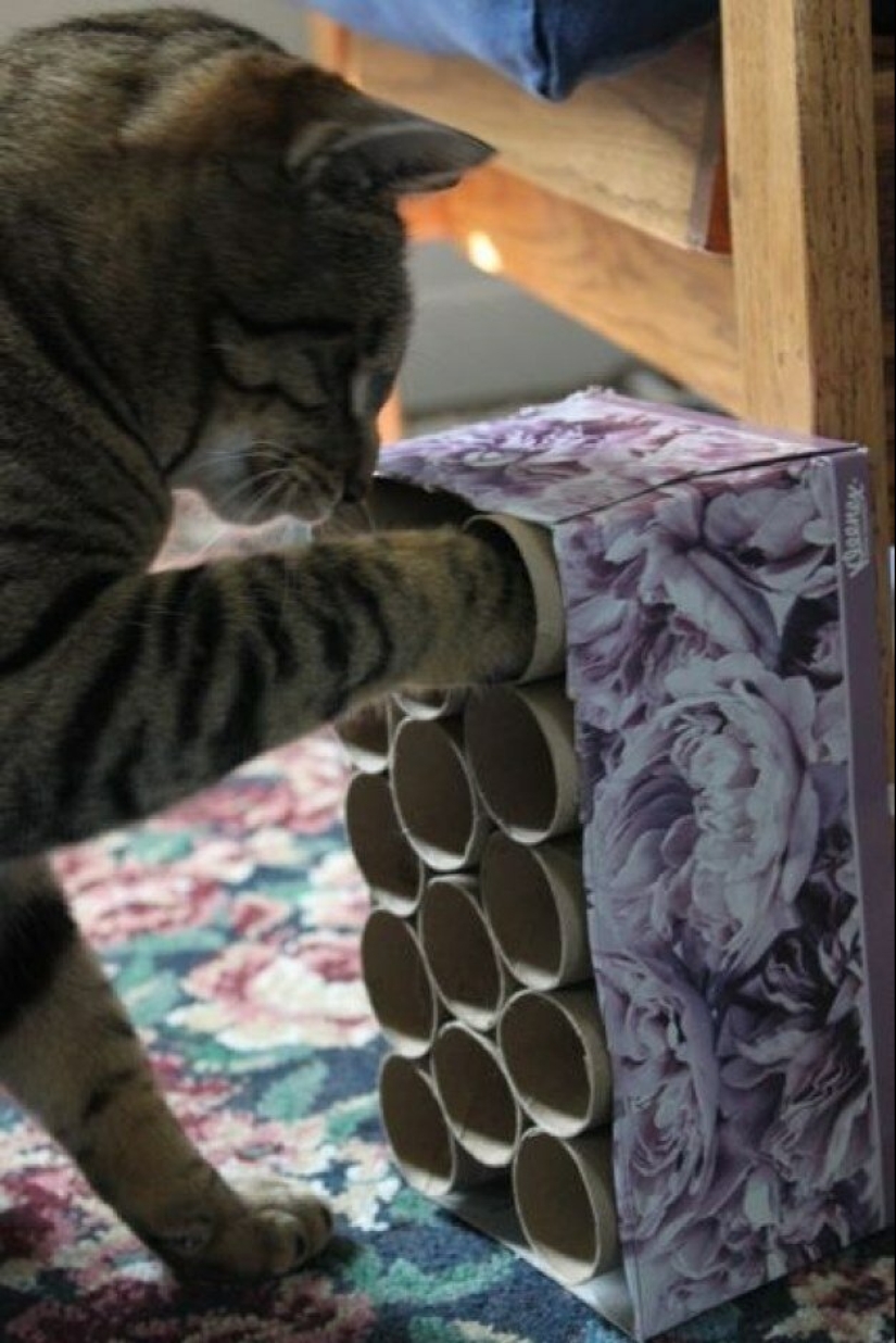 20 life hacks for happy cat owners 20 life hacks for happy cat owners