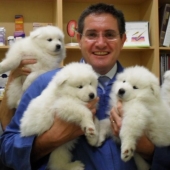 20 lindas pruebas de que un veterinario es una profesión de vuelo 20 lindas pruebas de que un veterinario es una profesión de vuelo