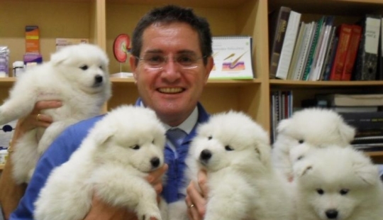 20 lindas pruebas de que un veterinario es una profesión de vuelo 20 lindas pruebas de que un veterinario es una profesión de vuelo