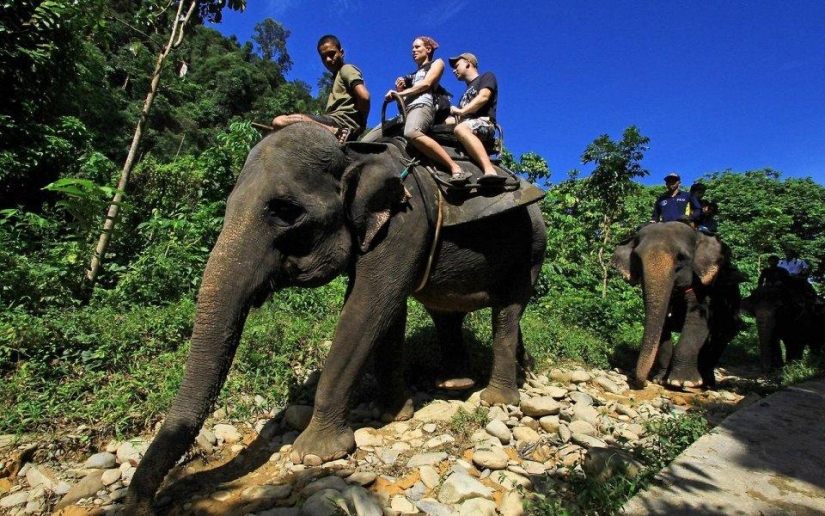 20 lugares donde se encuentran animales raros