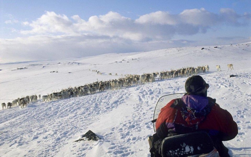 20 lugares donde se encuentran animales raros