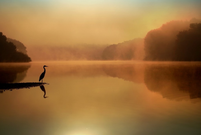 20 mejores fotos tomadas al amanecer