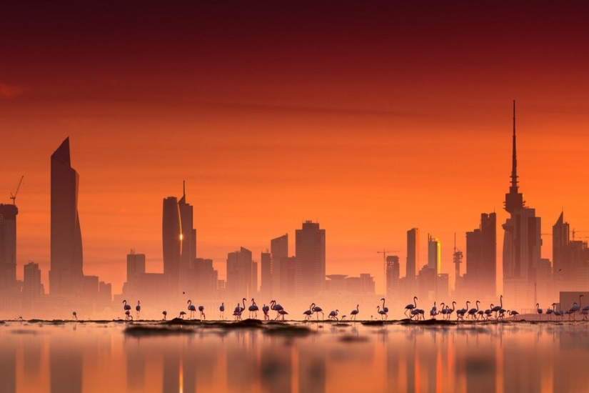 20 mejores fotos tomadas al amanecer