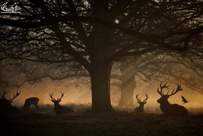 20 mejores fotos tomadas al amanecer