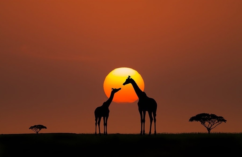 20 mejores fotos tomadas al amanecer