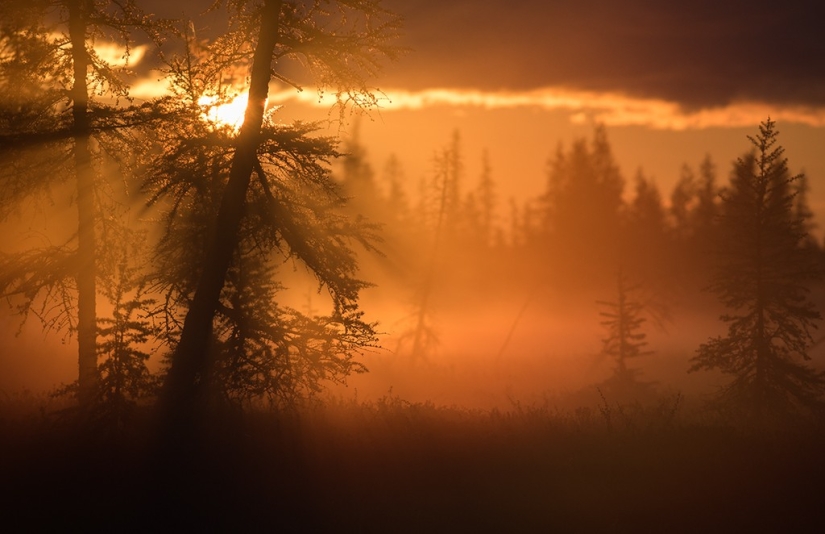 20 mejores fotos tomadas al amanecer