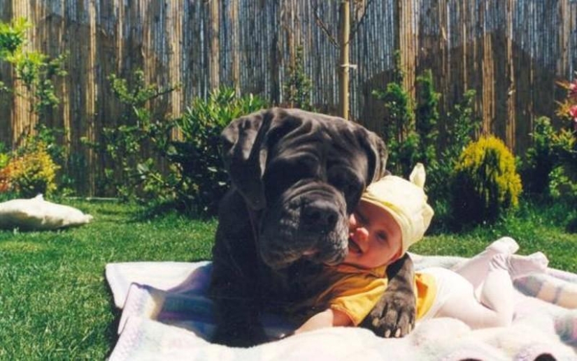 20 most touching and sincere photos about true friendship