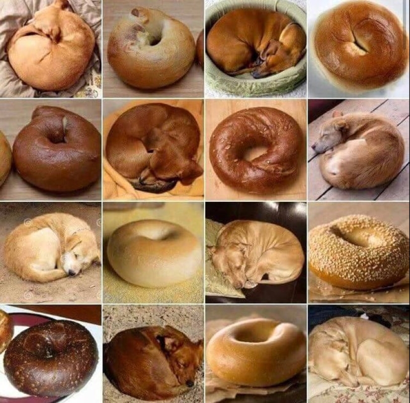 20 non-edible items, which for some reason I want to eat 20 non-edible items, which for some reason I want to eat