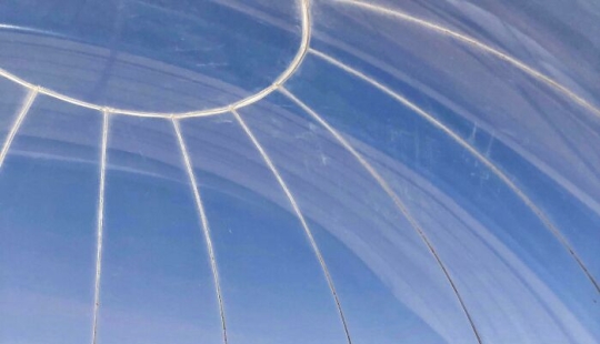 20 ocasiones en las que los viajeros se sorprendieron, se divirtieron o se sorprendieron en otros países