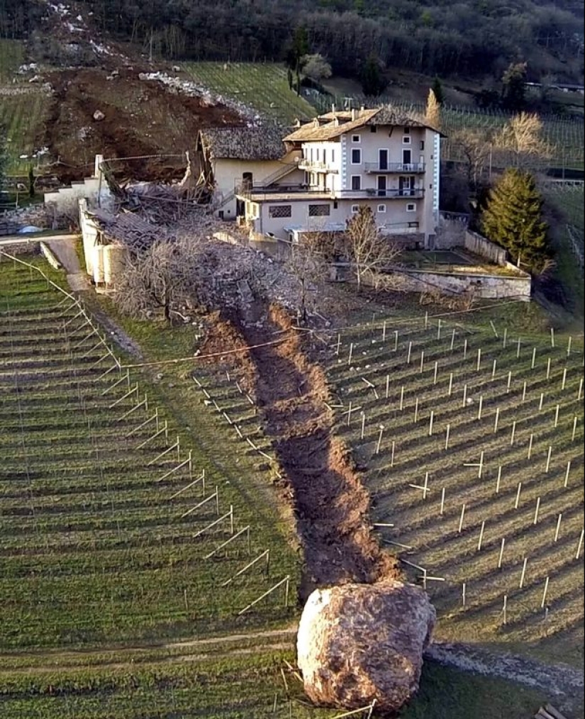 20 of the lucky ones who managed to avoid disaster