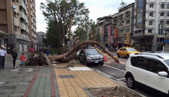 20 of the lucky ones who managed to avoid disaster