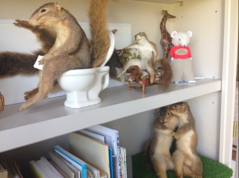 20 of the weirdest and strangest things from relatives ' homes 20 of the weirdest and strangest things from relatives ' homes