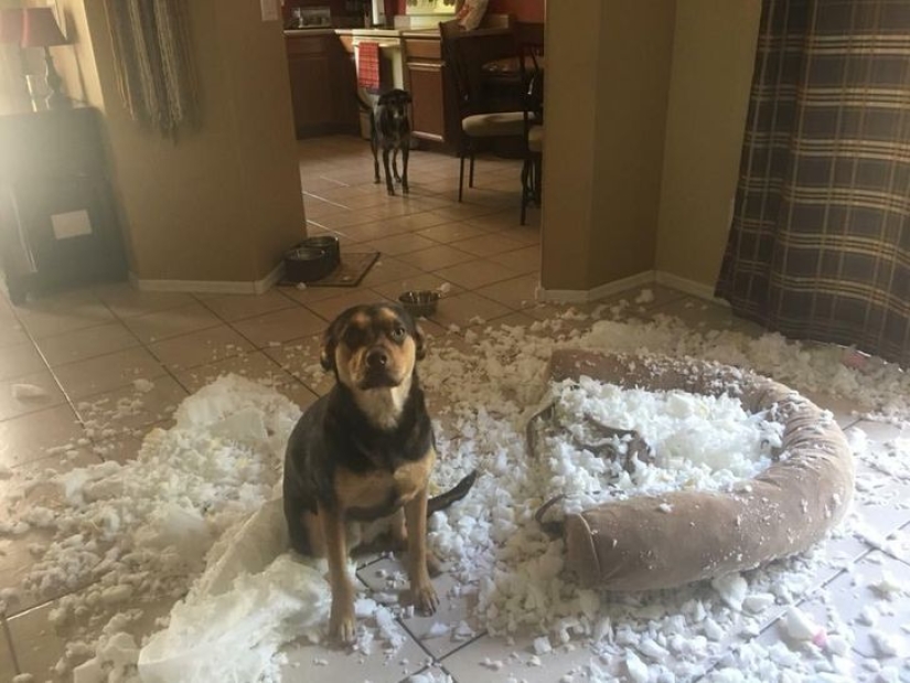 20 offensive cases when someone is very unlucky