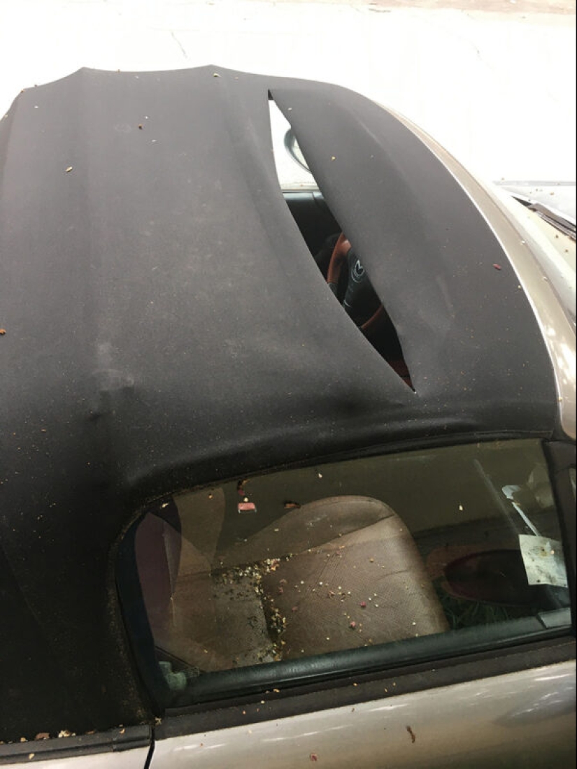 20 offensive cases when someone is very unlucky