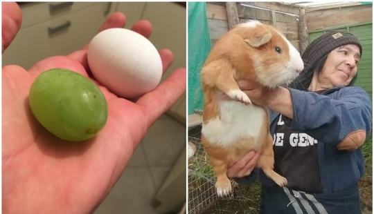 20 people and things whose true dimensions are known by comparison