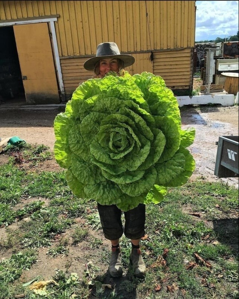 20 people and things whose true dimensions are known by comparison 20 people and things whose true dimensions are known by comparison