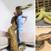 20 people who got a python, but did not calculate its size 20 people who got a python, but did not calculate its size