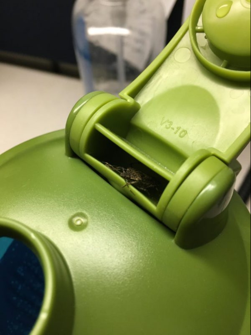 20 people whose day didn't start the way I wanted it to