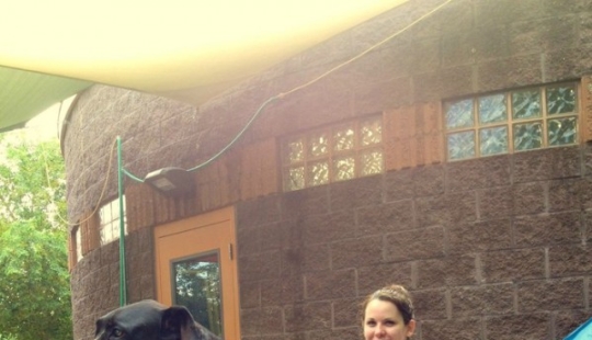 20 perros grandes que no tienen idea de lo grandes que son