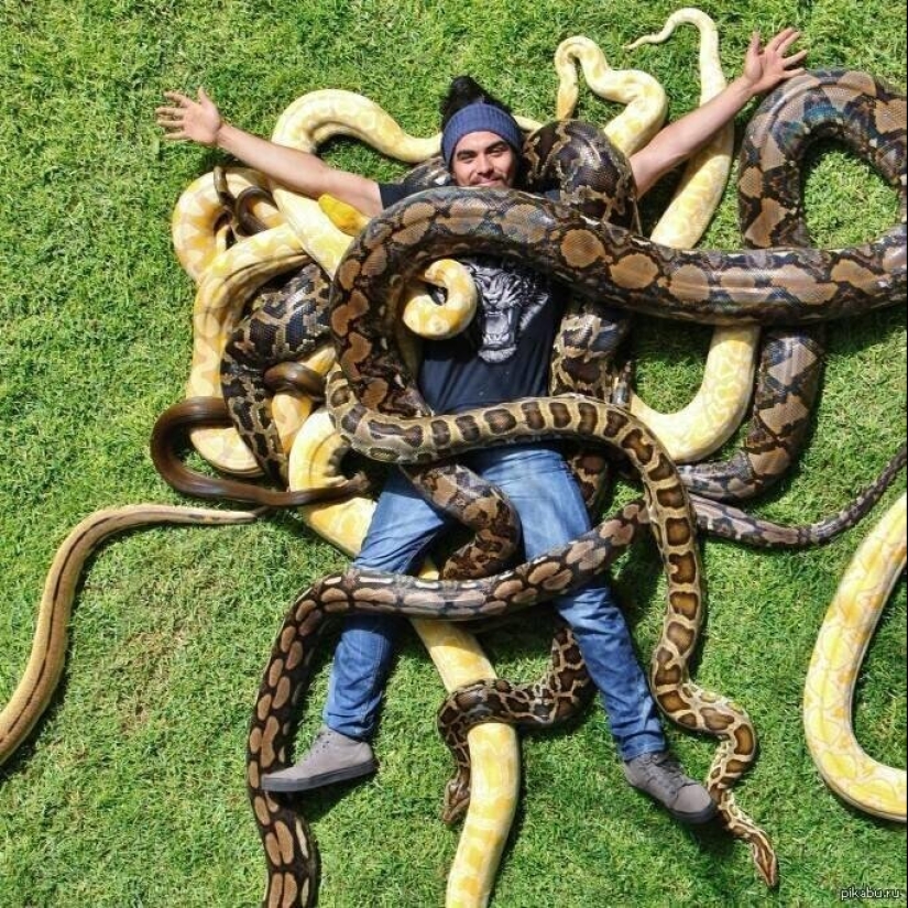 20 personas que obtuvieron una pitón, pero no calcularon su tamaño