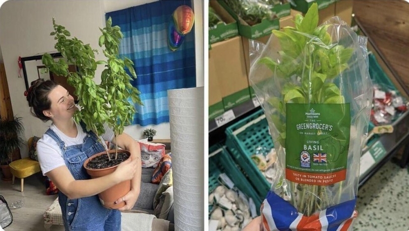 20 personas y cosas cuyas verdaderas dimensiones se conocen por comparación 20 personas y cosas cuyas verdaderas dimensiones se conocen por comparación