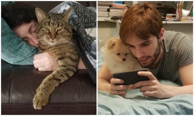 20+ Pets that shamelessly took the second halves of their owners
