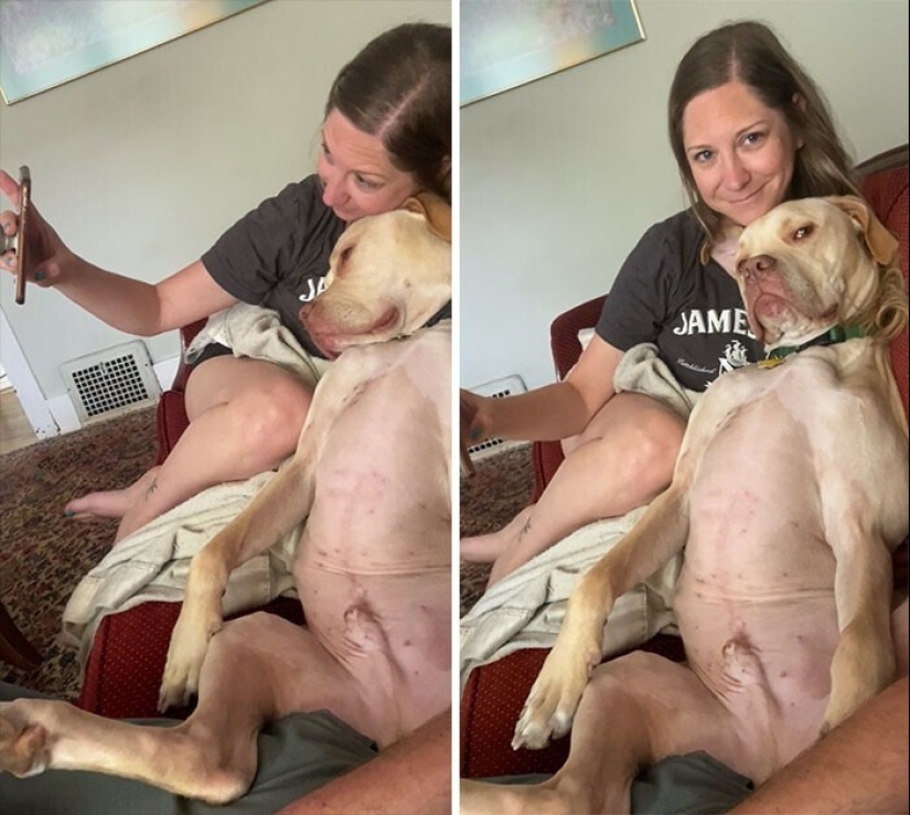 20+ Pets that shamelessly took the second halves of their owners
