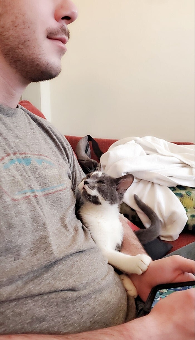20+ Pets that shamelessly took the second halves of their owners