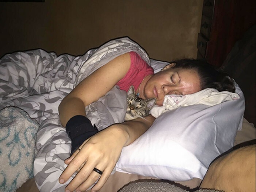 20+ Pets that shamelessly took the second halves of their owners