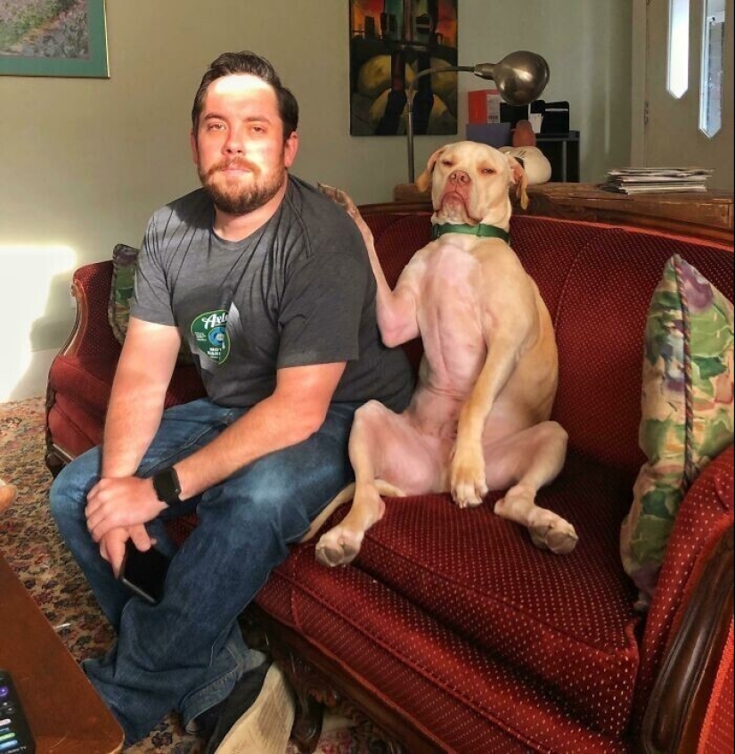20+ Pets that shamelessly took the second halves of their owners