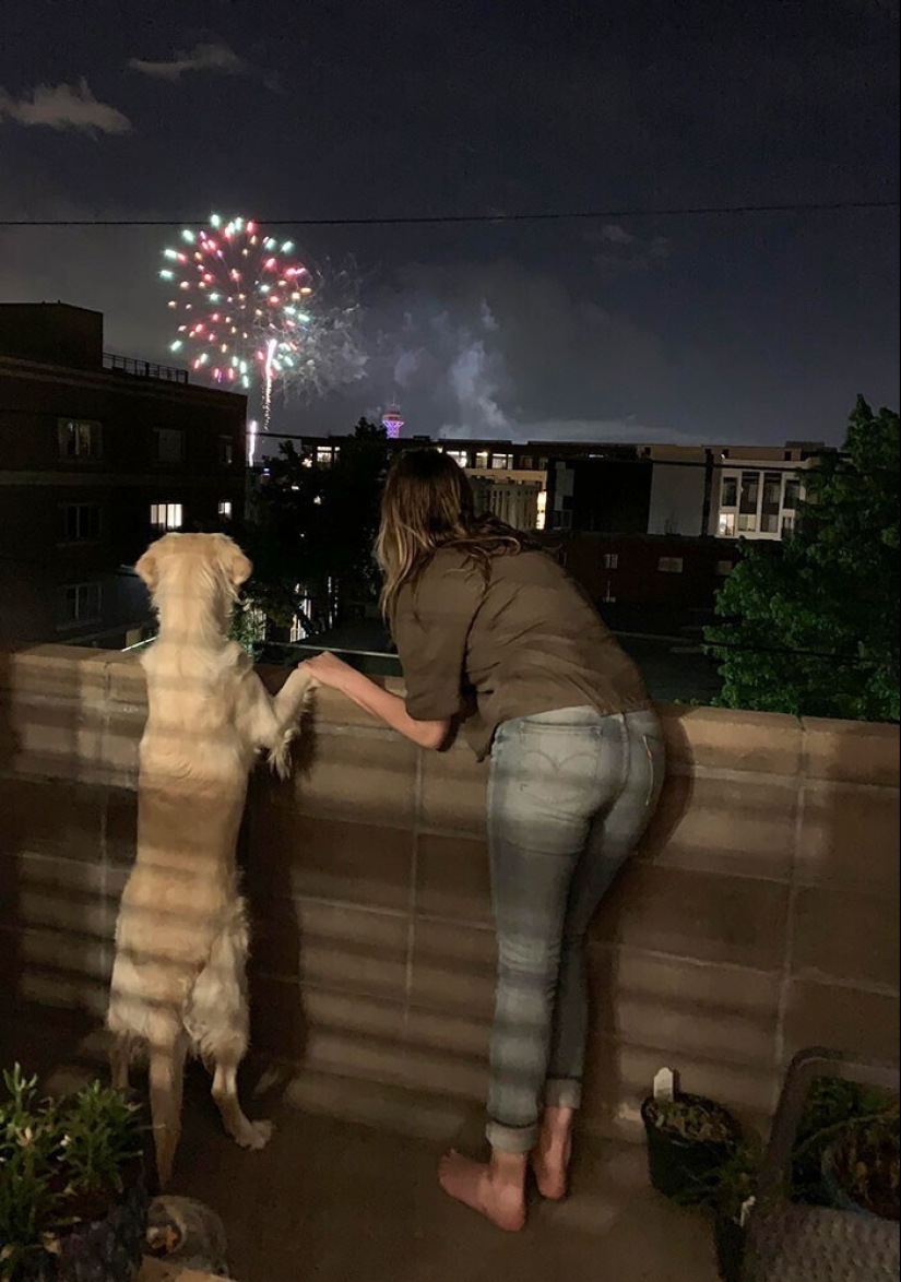 20+ Pets that shamelessly took the second halves of their owners