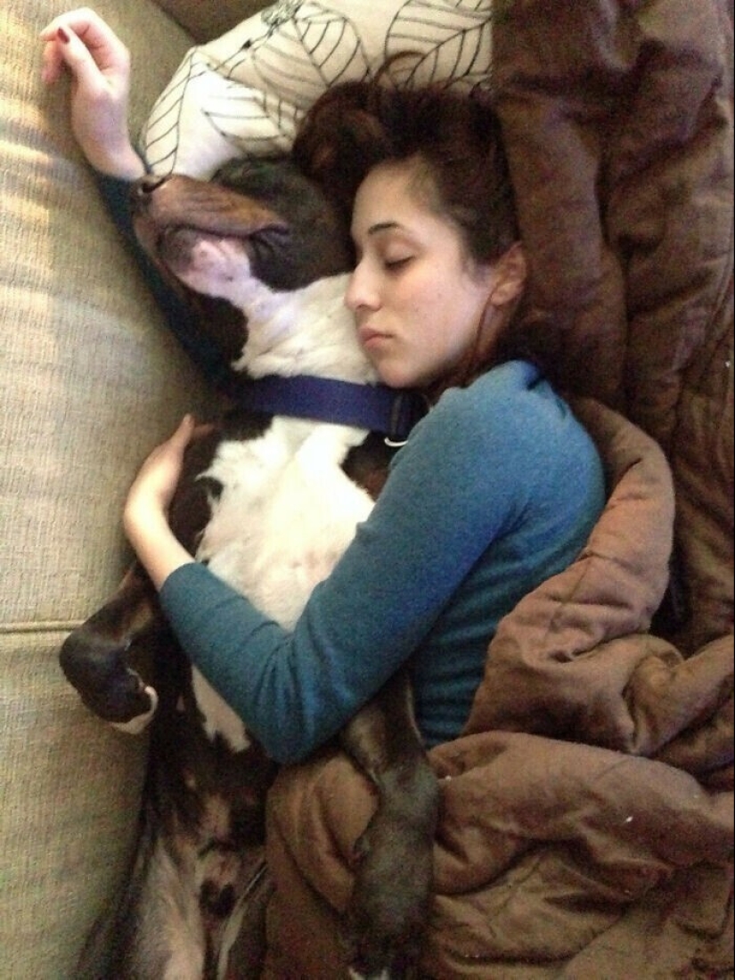 20+ Pets that shamelessly took the second halves of their owners