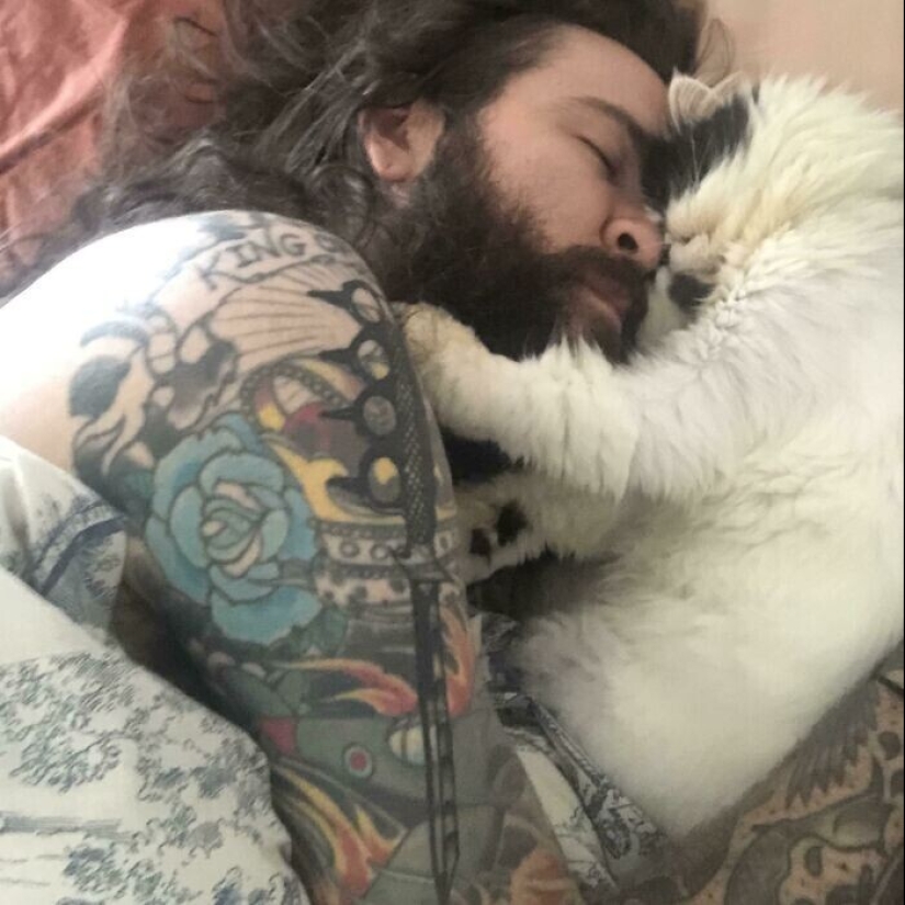 20+ Pets that shamelessly took the second halves of their owners