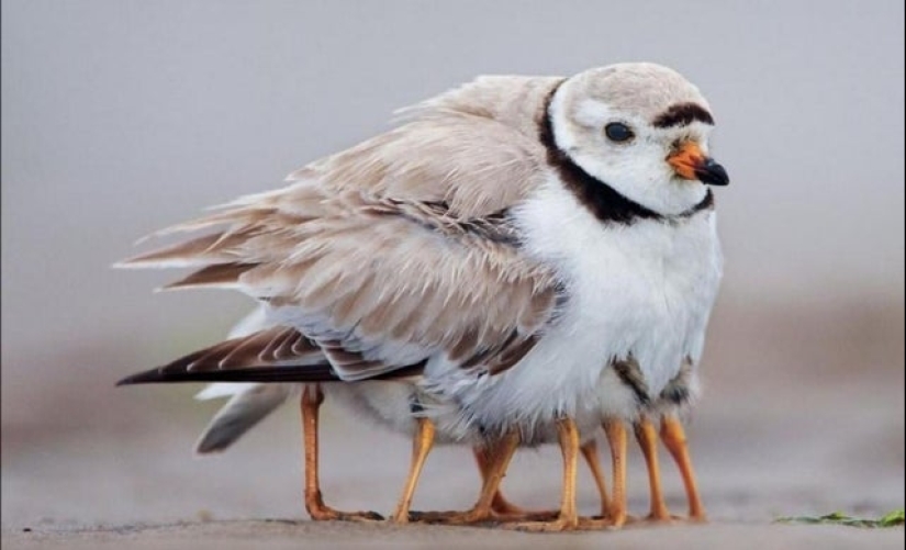 20 photos from the series "it seemed" that will take out your brain 20 photos from the series "it seemed" that will take out your brain