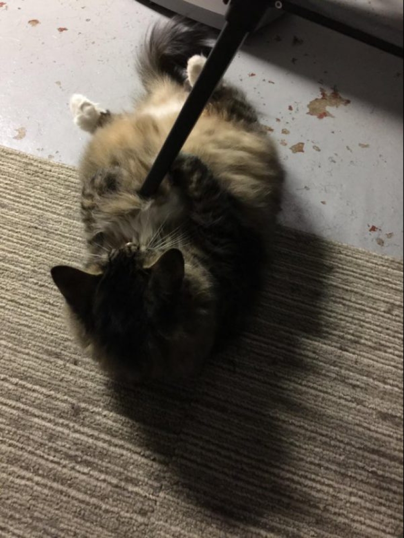 20 photos from the series "it seemed" that will take out your brain 20 photos from the series "it seemed" that will take out your brain