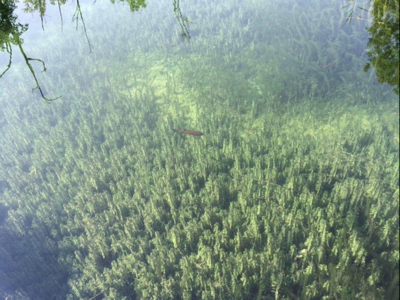 20 photos from the series "it seemed" that will take out your brain 20 photos from the series "it seemed" that will take out your brain