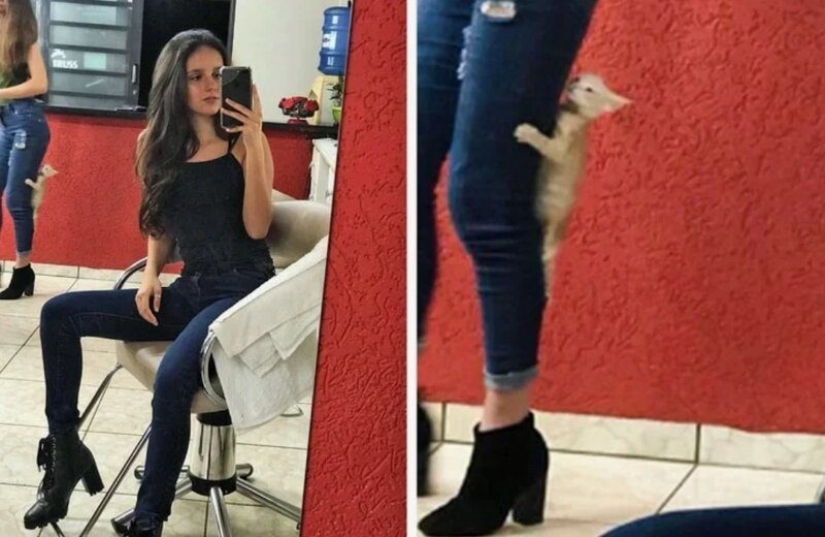 20 photos in which all the most interesting things happen in the background 20 photos in which all the most interesting things happen in the background