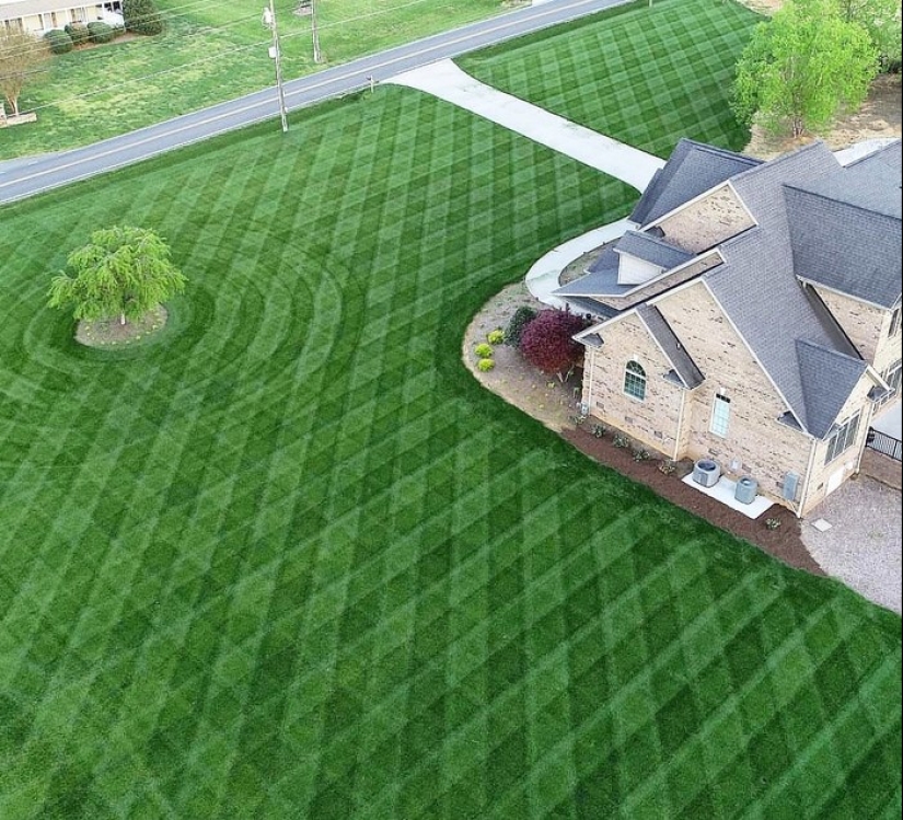 20 photos in which order triumphed over chaos 20 photos in which order triumphed over chaos