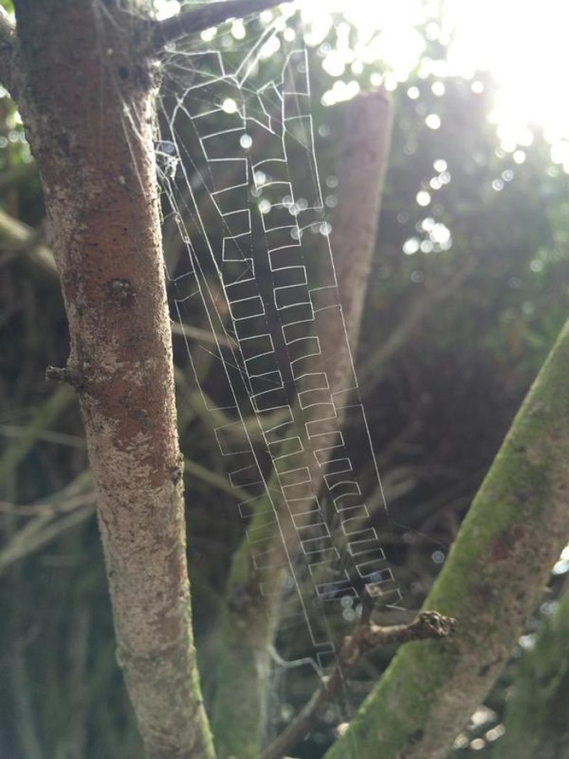 20 photos of unique things that most people will never see 20 photos of unique things that most people will never see
