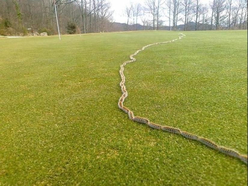 20 photos of unique things that most people will never see 20 photos of unique things that most people will never see