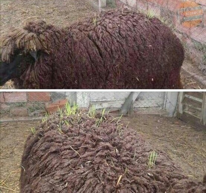 20 photos of unique things that most people will never see 20 photos of unique things that most people will never see